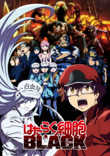 Hataraku Saibou Black TV