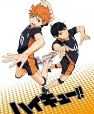 Haikyuu!! 2014