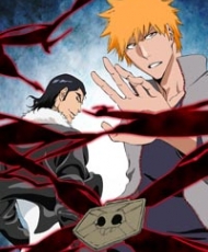 Bleach