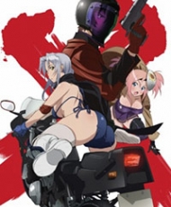 Triage X 2015