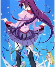 Bakemonogatari 2009 - 2010