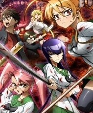 Highschool Of The Dead 2010