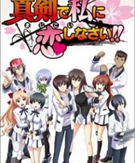 Maji De Watashi Ni Koi Shinasai! 2011