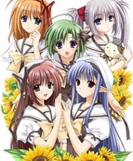 Shuffle! 2005 - 2006
