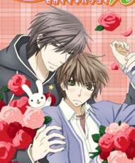 Sekaiichi Hatsukoi 2 2011
