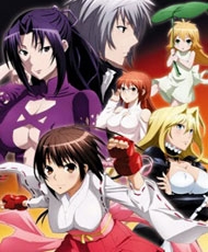 Sekirei: Pure Engagement 2010