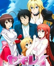 Sekirei 2008