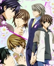 Junjou Romantica 2008