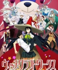 Witch Craft Works 2014