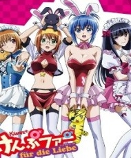 Kampfer: Fur Die Liebe 2011