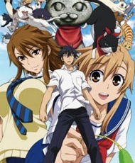 Nyan Koi! 2009