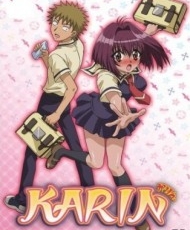 Karin 2005 - 2006