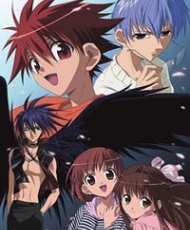 D.n.angel 2003