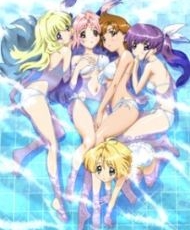 Girls Bravo: Second Season 2005