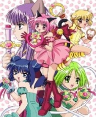 Tokyo Mew Mew 2004