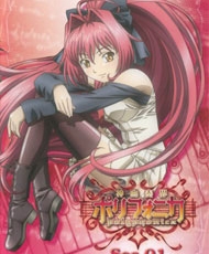 Shinkyoku Soukai Polyphonica 2007