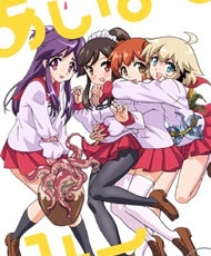 Ai Mai Mi 2013