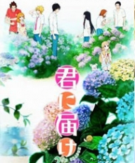 Kimi Ni Todoke Segunda Temporada 2011