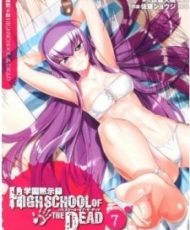 Highschool Of The Dead: Drifters Of The Dead 2011