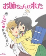 Onee-Chan Ga Kita Special 2014