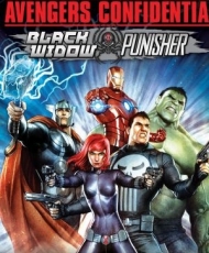 Avengers Confidential: Black Widow & Punisher 2014