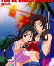 You'Re Under Arrest: No Mercy!! 2002