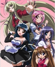 Penguin Musume Heart 2008