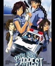 You'Re Under Arrest! Mini Specials 1999