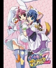 Nurse Witch Komugi-Chan Magikarte Z 2004