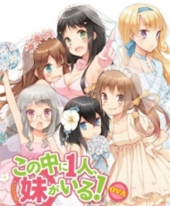 Kono Naka Ni Hitori, Imouto Ga Iru!: Ani, Imouto, Koibito 2013