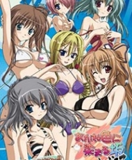 Akane-Iro Ni Somaru Saka Hardcore 2009