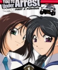 Taiho Shichau Zo: Second Season 2001