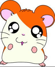 Hamtaro Segunda Temporada