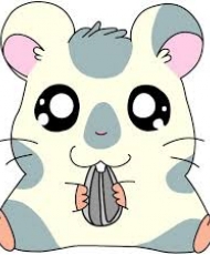 Hamtaro Tercera Temporada