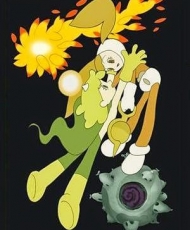 Kaiba 2008