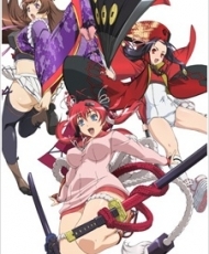 Hyakka Ryouran: Samurai Girls Specials 2010-2011 Español