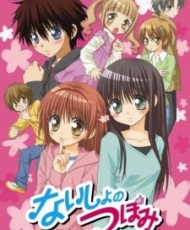 Naisho No Tsubomi 2008