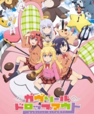 Gabriel Dropout 2017